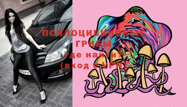 PSILOCYBIN Алексин