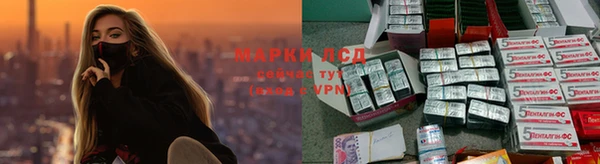 PSILOCYBIN Алексин