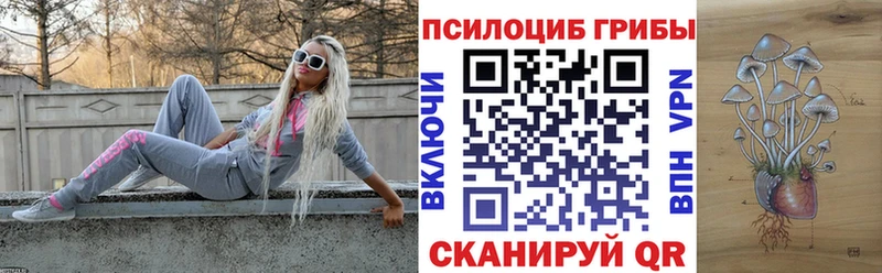 Псилоцибиновые грибы мухоморы Елабуга