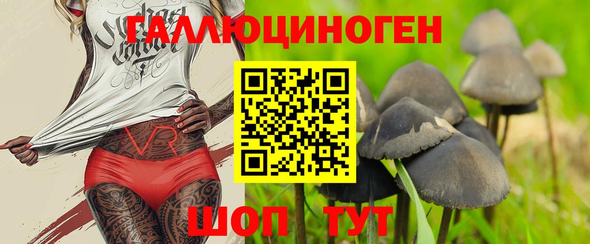 Псилоцибиновые грибы GOLDEN TEACHER  Вход с VPN  Елабуга 